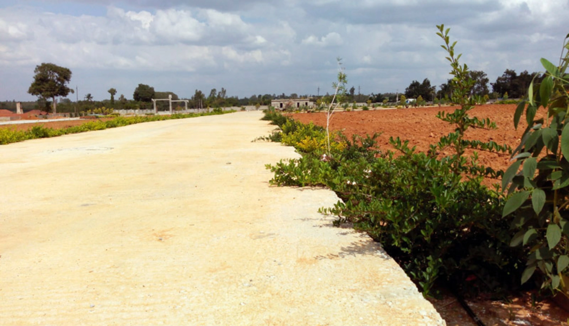 1920_Carmel_mantra (5)